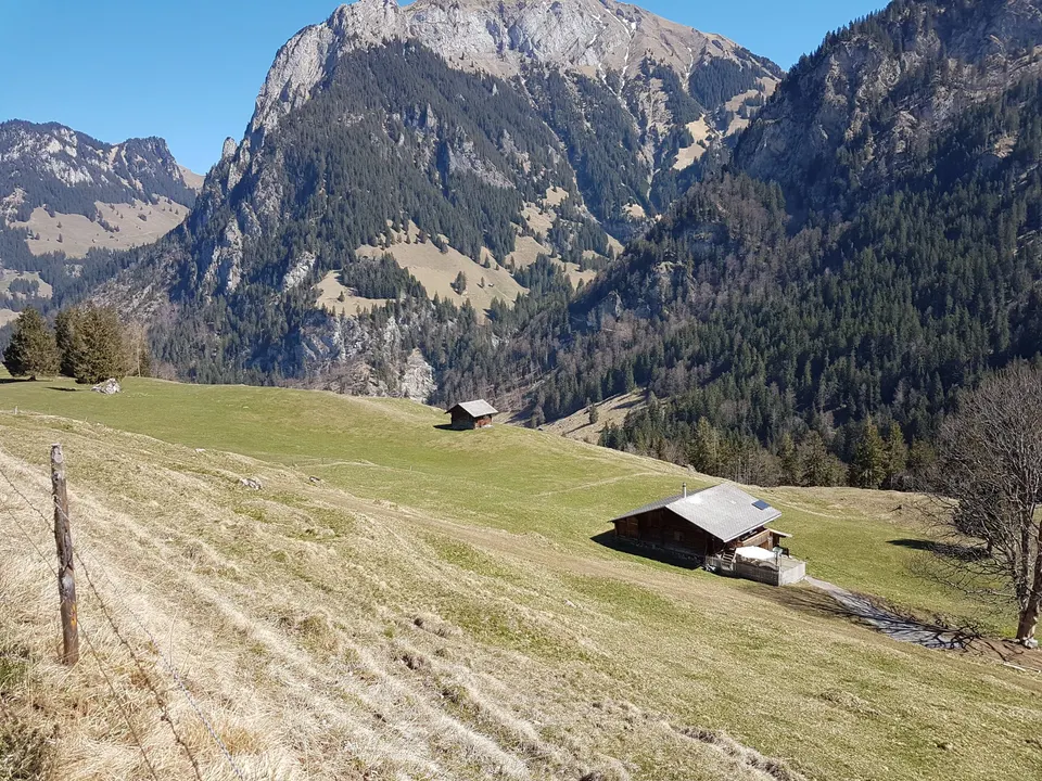 Hütte auf offener Weide von oben, dahinter Felsberge und bewaldete Hänge