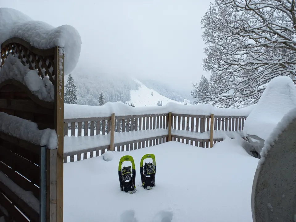 Schneeschuhe im Neuschnee auf der Terrasse, Geländer und verschneite Bäume