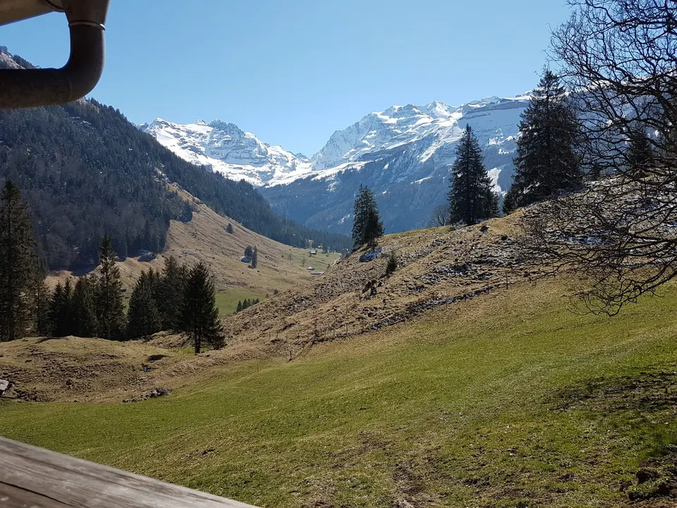 Blick von der Hütte über Weide und Tannen zu verschneiten Gipfeln